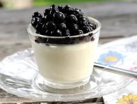 Pannacotta med blåbär